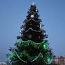 В Арсеньеве торжественно открылась городская новогодняя ёлка