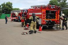 . Автор - Анжела Алексеенко