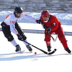 . Автор - Роман Гришенков
