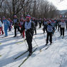 Все на лыжню!