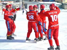 . Автор - Роман Гришенков