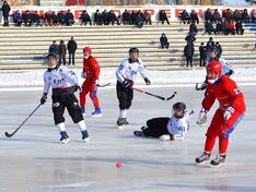 . Автор - Роман Гришенков