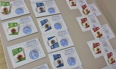 . Автор - фото пресс-службы Администрации Арсеньевского городского округа