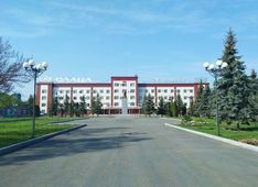 . Автор - Светлана Макаренко