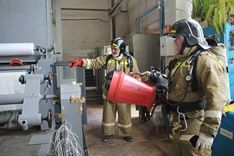 . Автор - Анжела Алексеенко